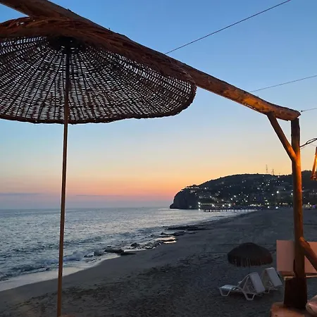 Zbb & Alanya